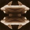 Farsin Khronos - Do Fishes Dream of Dying Oceans?