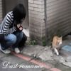 Lustty - Last romance