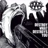 Against All Authority - Destroy What Destroys You