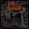 Public Transit - Public Transit