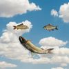 I'm letting unseen forces take the wheel - Big Carp