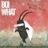BOI WHAT - Boulevard Of Broken Dreams
