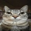AZALI - please do not listen to this song
