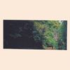 Abijah - Mercy