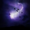Ailes De Foudre - L'&OElig;il de la temp&ecirc;te