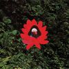 Lionmilk - WHEN THE FLOWERS BLOOM