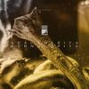 Scalameriya - Kornukopiya