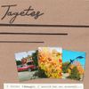 Tagetes - I Never Thought I Would Be So Scared