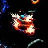 Cacabox - Cacalbum