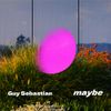 Guy Sebastian - Maybe