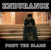 Endurance X - Point The Blame