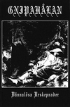 Gnipahålan - V&aring;nnal&ouml;sa urskepnader