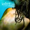 Kallsup - En sista r&auml;ddning