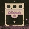 The Orchids - The Orchids