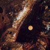 Rob Clouth - Bichillo