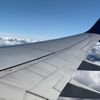 EVILGIBBY - Flying High