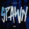 LAZER DIM 700 - spawn