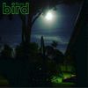 Fiore - Bird