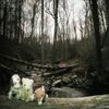 Gonerville - SHAVASANA