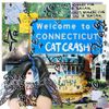 Cat Crash - Connecticut