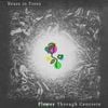 Bears In Trees - Flower Through Concrete