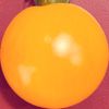 pomodorosa - faux fruit