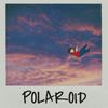 Curtis Worgan - Polaroid