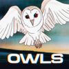 Luke Westaway - OWLS