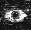 UNDERGRUNN - Memoarer