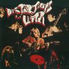 The Litter - Distortions
