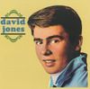 Davy Jones - David Jones
