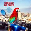Antoine Corriveau - Oiseau de Nuit