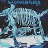 101CE - MAXAKALISAURUS
