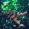 Carter Ace - Frozen