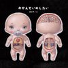 Babuchan - Human is Corpse