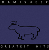 Damp Sheep - grazing