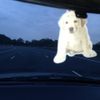 Oslow - Desert Dog Rd
