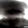 Tripp Dawg - VANDAL