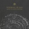 Downfall of Gaia - Ethic Of Radical Finitude