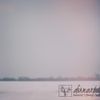 Dormant (Movement 1 Through 7)