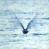 福居良 [Ryo Fukui] - Mellow Dream