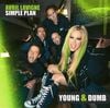 Avril Lavigne - Young & Dumb