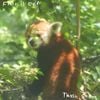 Trash Sneks - fall is over