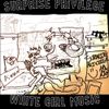 Surprise Privilege - White Girl Music