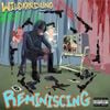 wildkarduno - Reminiscing