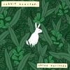 chloe moriondo - rabbit hearted.