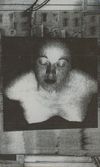 Genius Females - Golden Throat