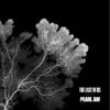 Pearl Jam - The Last Of Us
