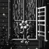 Belluna - After Dark