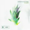 Flexible Fire - Eucalyptus